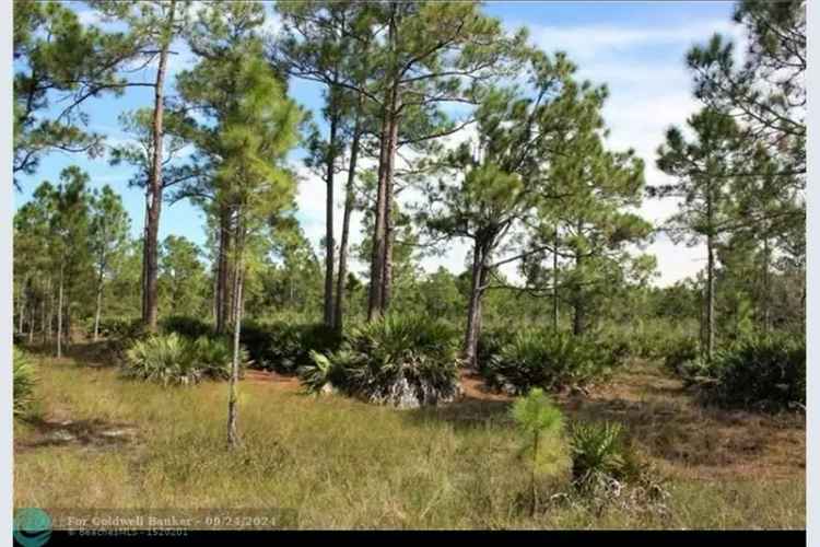Affordable Lehigh Lot - Build Your Dream Home or Invest