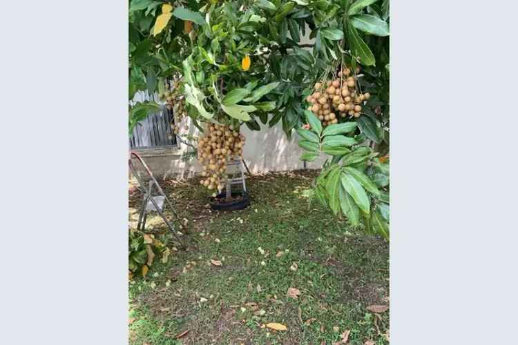 House For Sale , 954, Hacienda Circle, Kissimmee, Florida