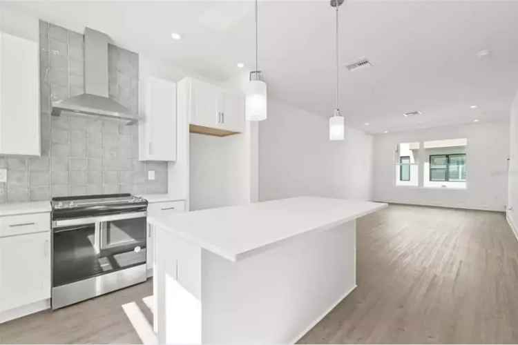 Luxury 3-Story Townhome with Rooftop Terrace in St Petersburg