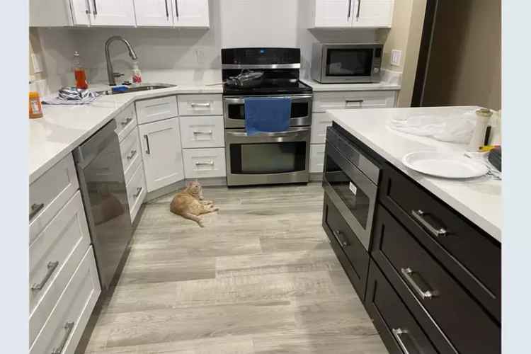 Renovated Home Near Downtown St Pete Huge Yard RV Hookup