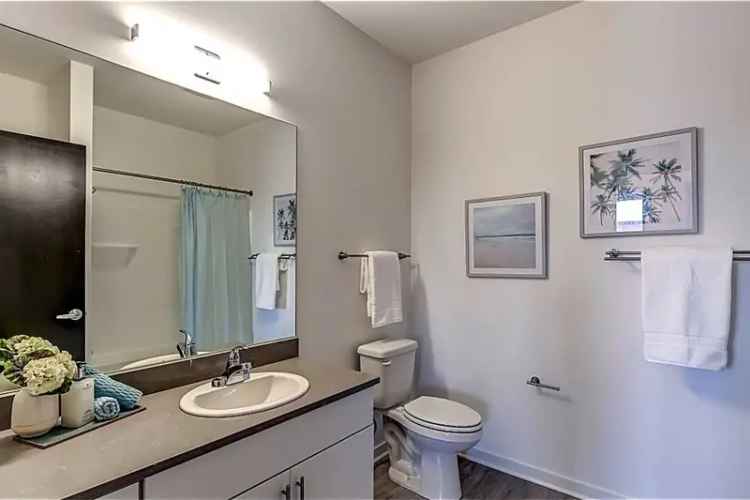 The Quin Apartments: Pet-Friendly Apartments in Walker's Point