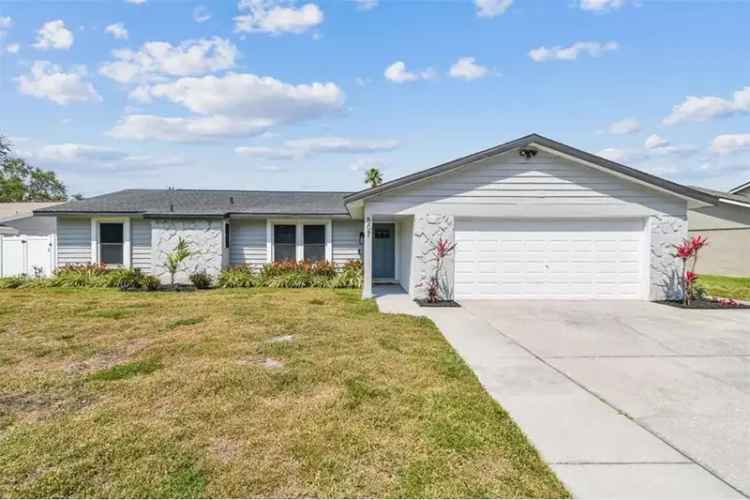 Palm Harbor 4-Bedroom Home with Pool and Spa