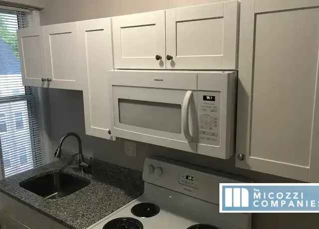 1 Bedroom Apartments Near WPI and Elm Park No Dogs