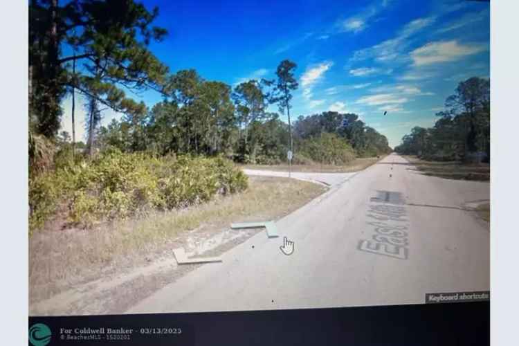 Lehigh Acres Dream Home Opportunity