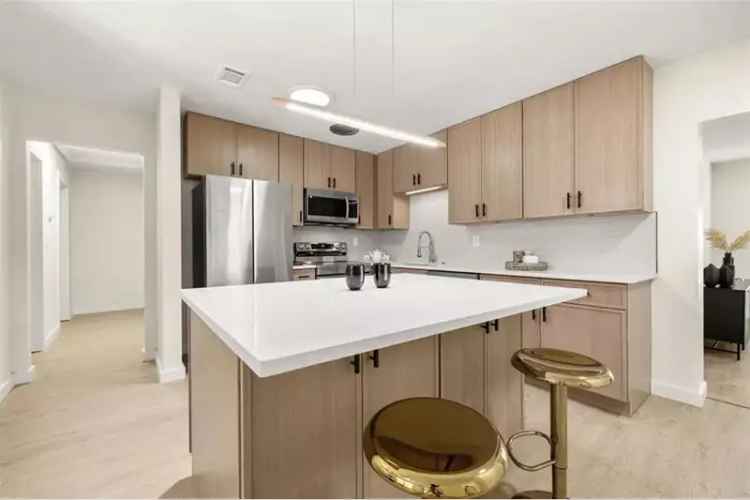 4 Bed 2 Bath Home in Meadowlawn St Pete - Tastefully Renovated