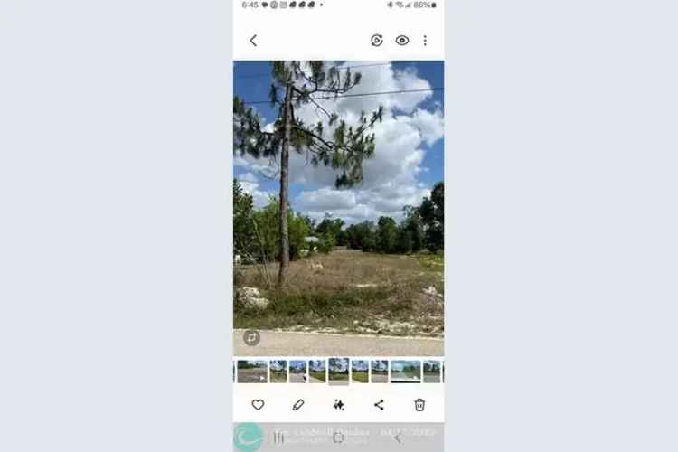 Land For Sale , Florida