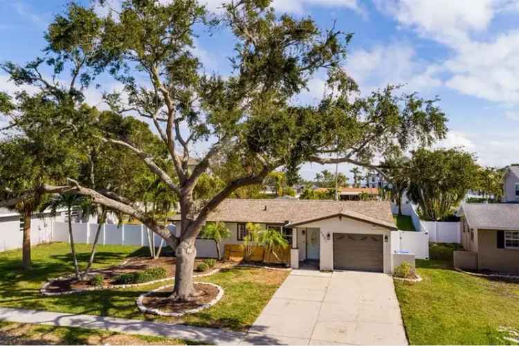 Spacious Lot Near Tampa Bay - Pool - Remediated