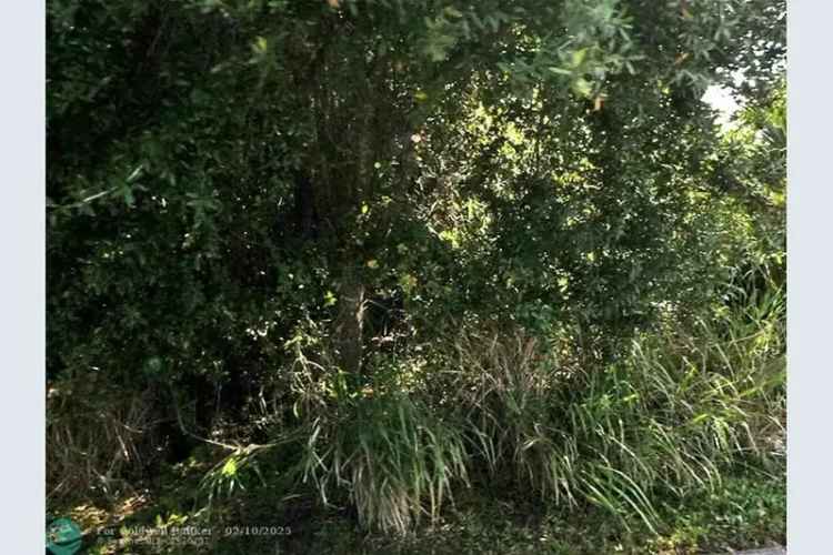 Land For Sale , 2817, Southwest Rosser Boulevard, Port Saint Lucie, Florida