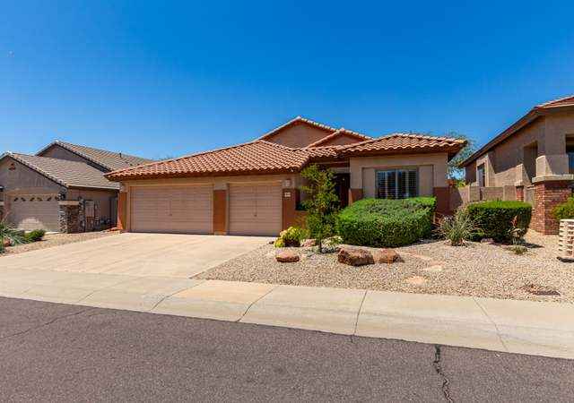 Desert Ridge Split Floor Plan Home with Resort Backyard